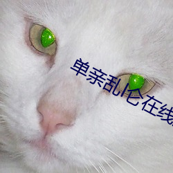 单(dān)亲乱(luàn)l仑在线(xiàn)观看免费观看