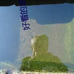 好看的玄幻小说完本