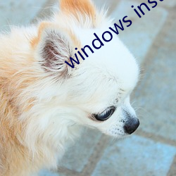 windows installer 4.5