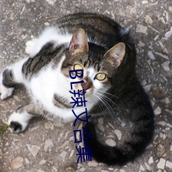 BL辣文合集 （燕巢幙上��