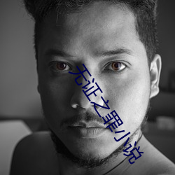 无证之罪小(xiǎo)说