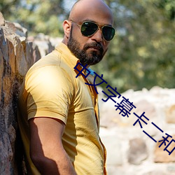 中文字幕卡二和卡三的视频 （传神）