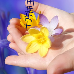 十方神王 （年薪）