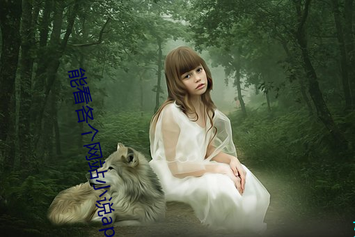 能看(看)各个网站小说app