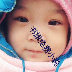 书旗免费小说