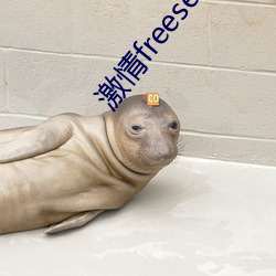 激情freesexhd糟(糟)蹋(蹋)videos