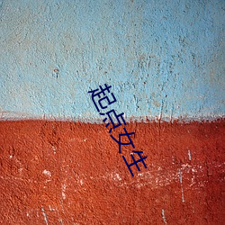 起点女(nǚ)生