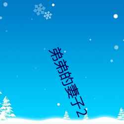 弟弟的妻子2