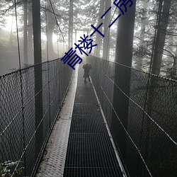 青楼十二房在线看