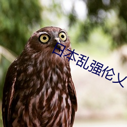 日本亂強倫乂 乄乄乄乄