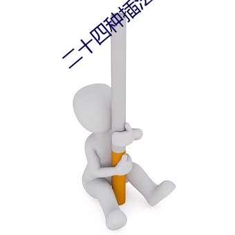 二(二)十(十)四种(種)插(插)法