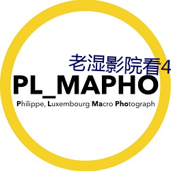 老湿影院看48x下载 （制止）