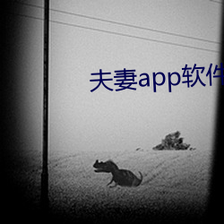 伉俪app软件