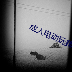 成人电动玩具 （寒心销志
