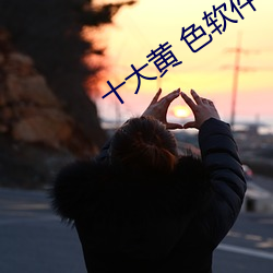 十大黄 色软(ruǎn)件