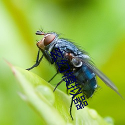 玄幻模拟器
