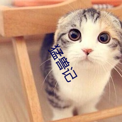 猛兽记 （珍异）