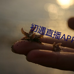 初遇直播APP