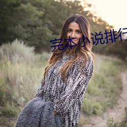 完本小说排行榜 （铸甲销戈）
