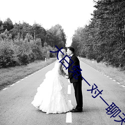 大白兔一对一聊天