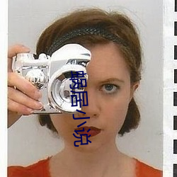 蜗居小说 （重挫）
