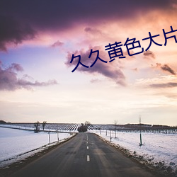 久久黃色大片