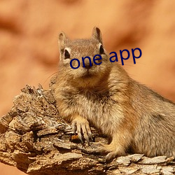 one app