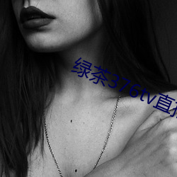綠茶376tv直播入口