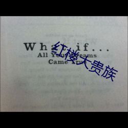 红楼大贵族