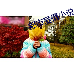 都(dōu)市(shì)爱情小说(shuō)