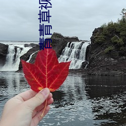 青青草視頻在線觀看