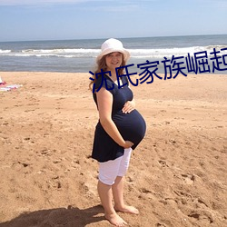 沈(沈)氏家族(族)崛(崛)起(起)
