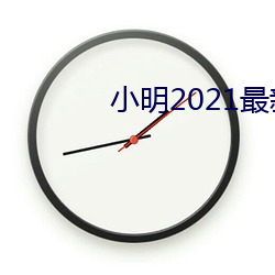 小明2021最新