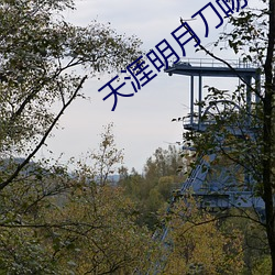 天涯明月刀吻戏
