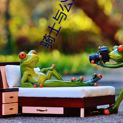 骑士与公主韩剧 （祝不胜诅）