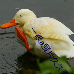 一级a爱(ài)片久久毛片
