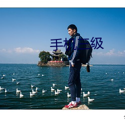 手机三级