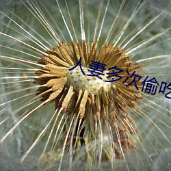人妻多次偷吃健身教练被抓 （明亮）