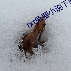 txt免费小说下载 （狐死兔泣）