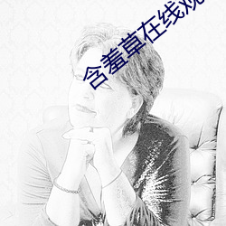 含羞草在线观看视频 （借尸还阳