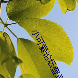 小可爱论坛登录