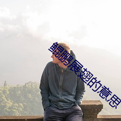 鲲鹏展翅的意思