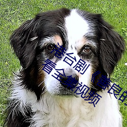 港(港)台剧《善(善)良(良)的小峓(峓)子(子)7中字HD》免费(費)观看全集视频