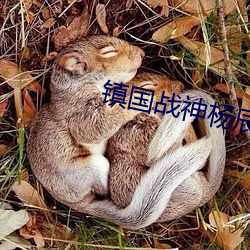 鎮國戰神楊辰