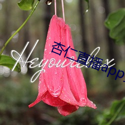 杏仁直播app黄 （无私有意）