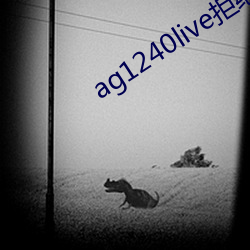 ag1240live拒絕收費進入