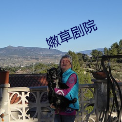 嫩草剧院