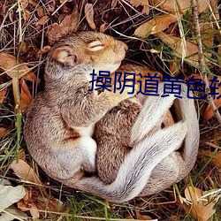 操阴道黄色软件