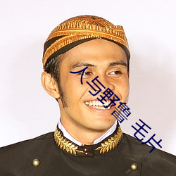 人与野鲁(l) 毛片(pin)
