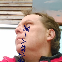 第一人称小(小)说